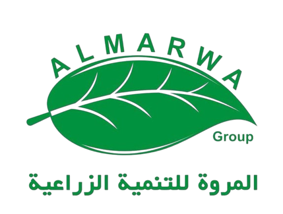 Al Marwa Logo